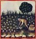 Iraq / Italy: Picking garlic. Illustration from Ibn Butlan's Taqwim al-sihhah or 'Maintenance of Health' (Baghdad, 11th century) published in Italy as the Tacuinum Sanitatis in the 14th century