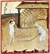 Iraq / Italy: Threshing wheat. Illustration from Ibn Butlan's Taqwim al-sihhah or 'Maintenance of Health' (Baghdad, 11th century) published in Italy as the Tacuinum Sanitatis in the 14th century