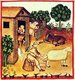 Iraq / Italy: Milking sheep. Illustration from Ibn Butlan's Taqwim al-sihhah or 'Maintenance of Health' (Baghdad, 11th century) published in Italy as the Tacuinum Sanitatis in the 14th century